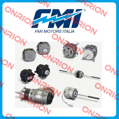 FMI Fan Motors Italia Srl