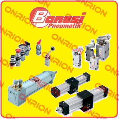 E13A8/B1/E   Bonesi Pneumatic