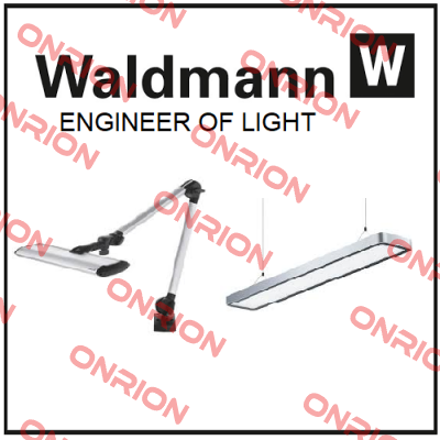 309189050-00096275  Waldmann