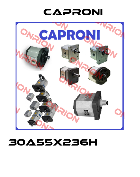 30A55X236H            Caproni