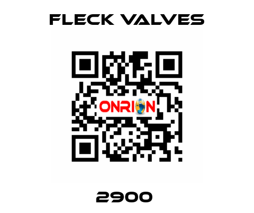 2900  Fleck Valves