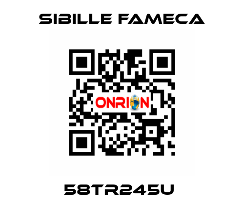 58TR245U  Sibille Fameca