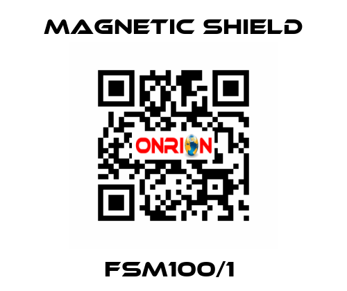 FSM100/1  Magnetic Shield