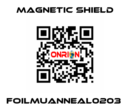 FOILMUANNEAL0203  Magnetic Shield