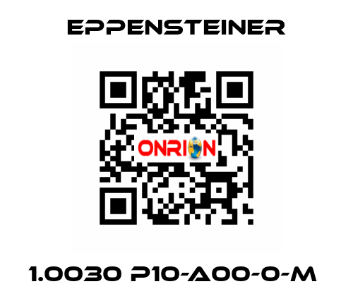 1.0030 P10-A00-0-M  Eppensteiner