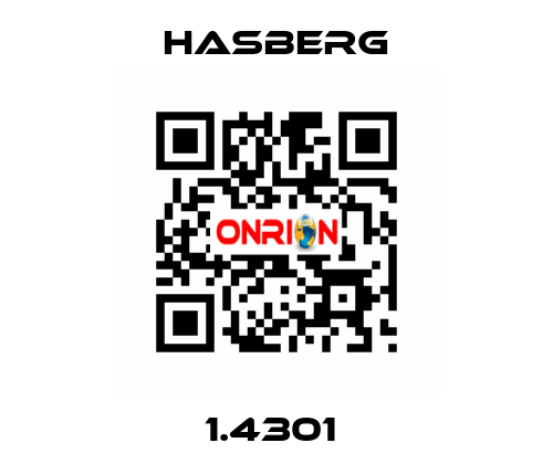 1.4301  Hasberg