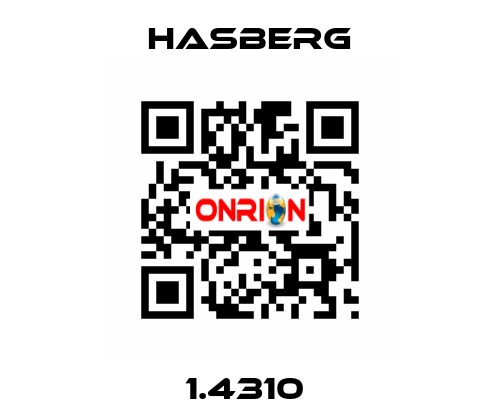 1.4310  Hasberg