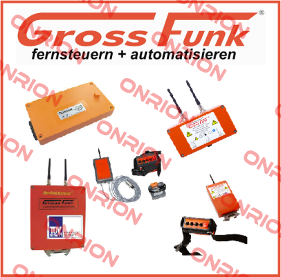 100-000-134 WECHSELAKKU 12V/1300MAH NIMH  Gross Funk