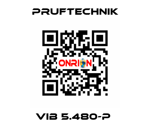 VIB 5.480-P  Pruftechnik