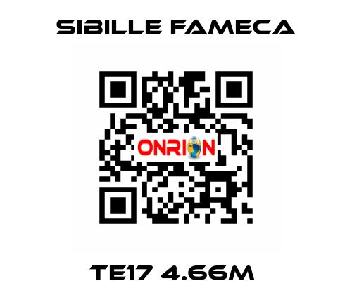 TE17 4.66M  Sibille Fameca