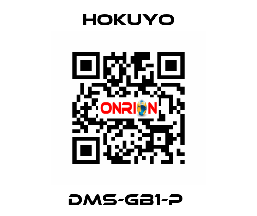 DMS-GB1-P  Hokuyo