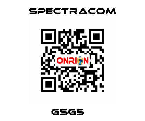 GSG5　  SPECTRACOM