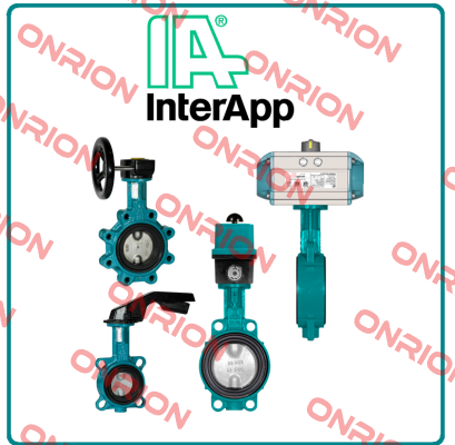 A324EC DN150 PN16  InterApp