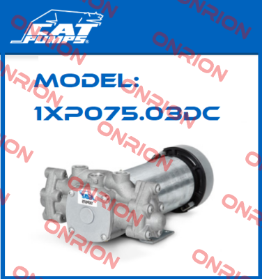 Model: 1XP075.03DC Cat Pumps