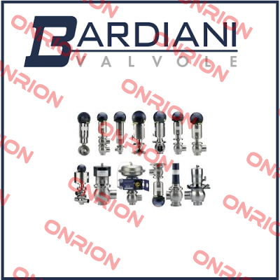 B925 TT VITON DN80  Bardiani Valvole