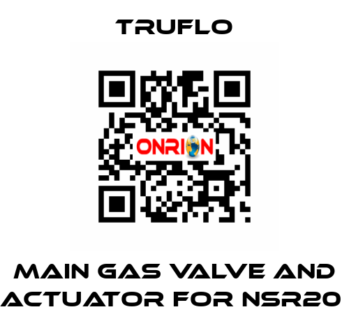 Main Gas Valve and Actuator For NSR20  TRUFLO