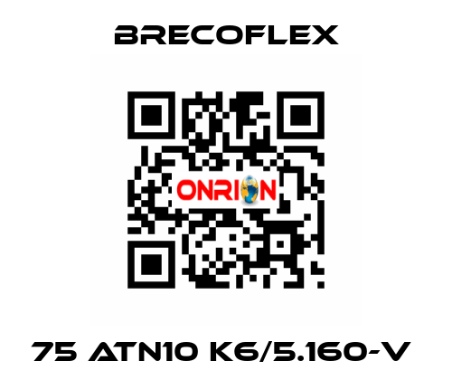 75 ATN10 K6/5.160-V  Brecoflex