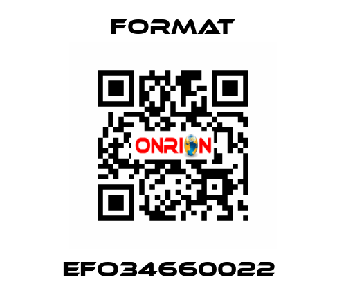 EFO34660022  Format