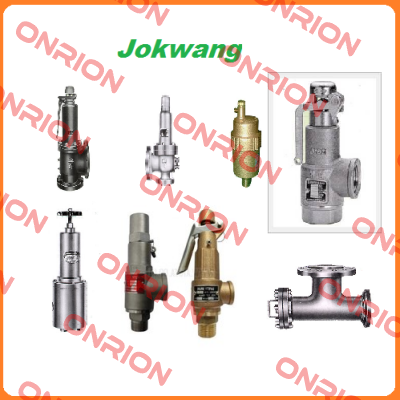 FF100-C-3/4"D1"-A11-212-CN2 5,5BARG  Jokwang