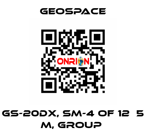 GS-20DX, SM-4 OF 12Х5 M, GROUP  GeoSpace