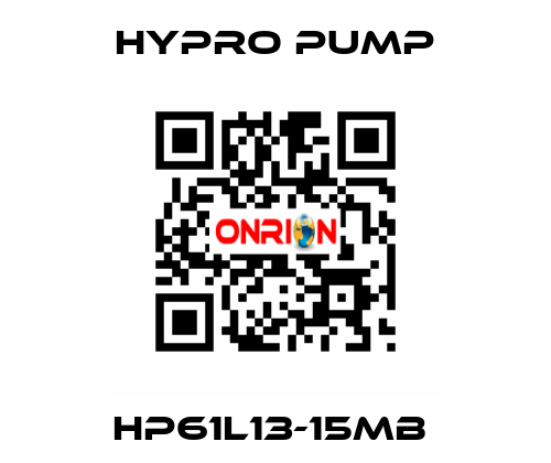 HP61L13-15MB  Hypro Pump