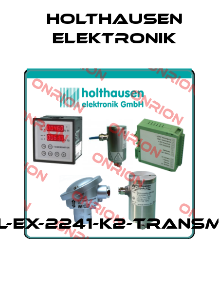 ESW-small-Ex-2241-K2-Transmitter-10-10  HOLTHAUSEN ELEKTRONIK