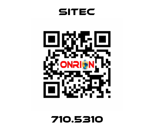 710.5310 SITEC