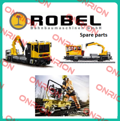 9801040005  Robel