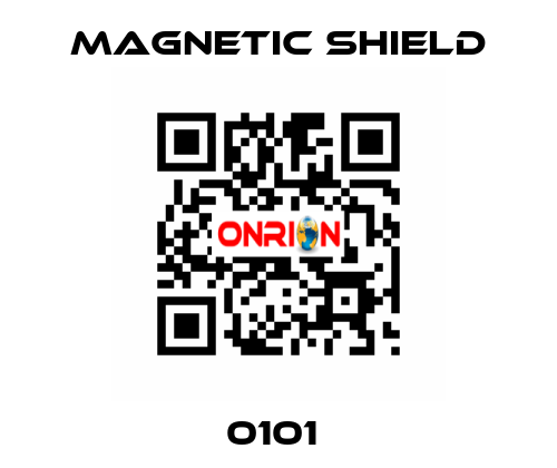 0101  Magnetic Shield