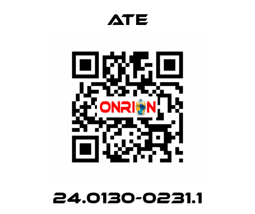 24.0130-0231.1 Ate