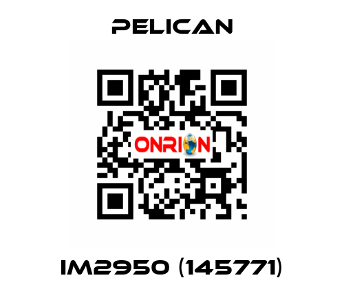 iM2950 (145771) Pelican