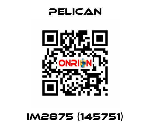 iM2875 (145751) Pelican