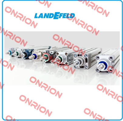 ES 06 F 1B Landefeld