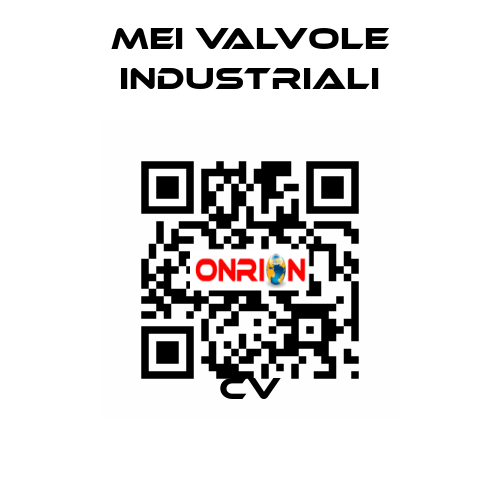 CV MEI VALVOLE INDUSTRIALI