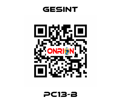 PC13-B Gesint