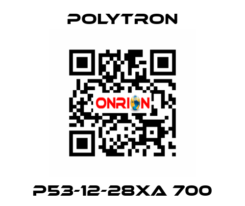 P53-12-28XA 700 Polytron