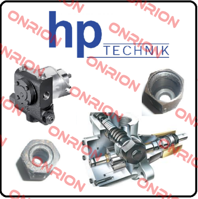 O-RING/ BIK-5103-1-2  HP Technik