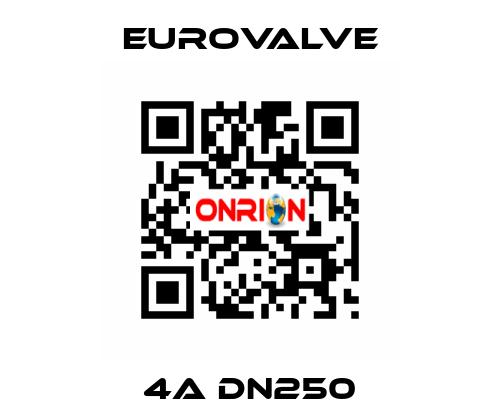 4A DN250 Eurovalve