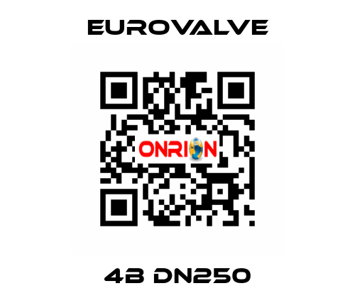 4B DN250 Eurovalve