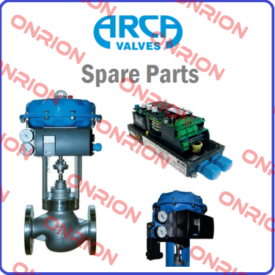 PACKING SET, ITEM NO: 156, FOR DN100 PN160  CONTROL VALVES  ARCA