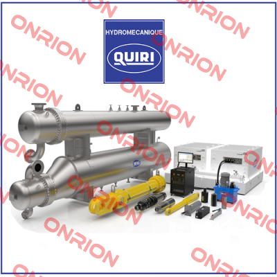 BDD 40.100 V F1 T Quiri