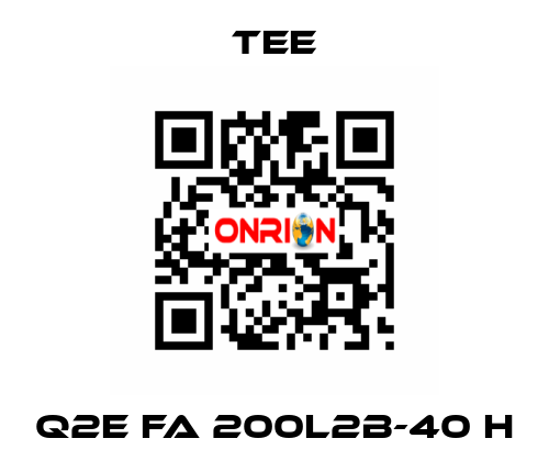 Q2E FA 200L2B-40 H TEE