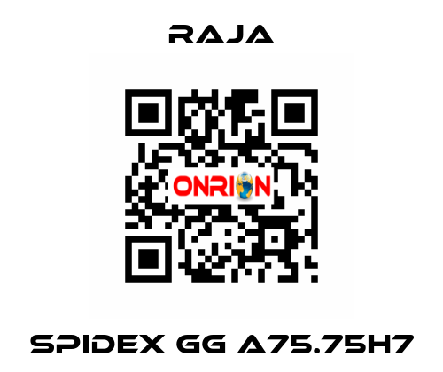 SPIDEX GG A75.75H7 Raja