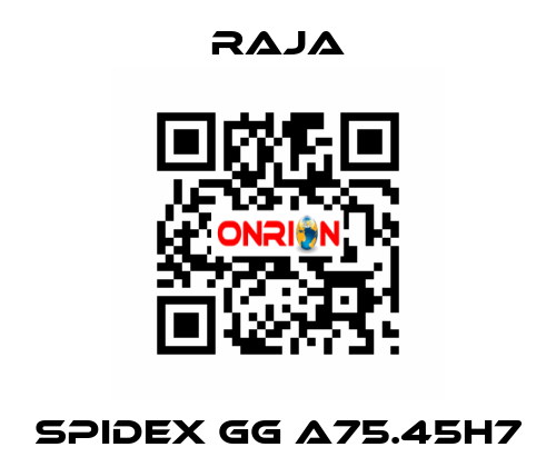 SPIDEX GG A75.45H7 Raja