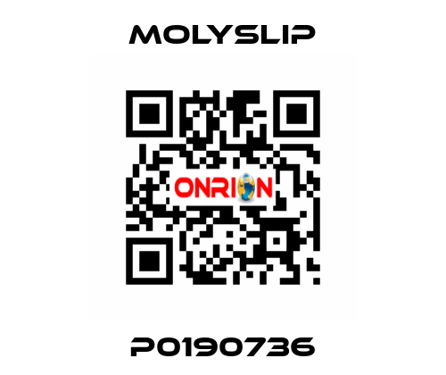 P0190736 Molyslip