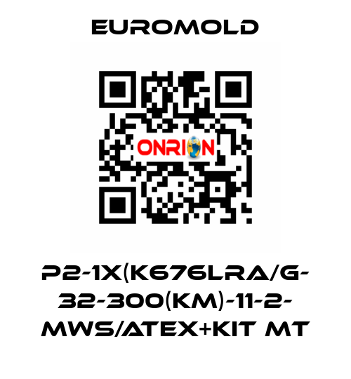 P2-1x(K676LRA/G- 32-300(KM)-11-2- MWS/ATEX+KIT MT EUROMOLD