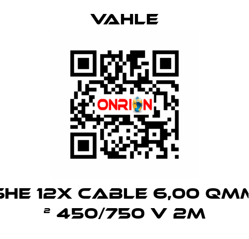 SHE 12x Cable 6,00 Qmm ² 450/750 V 2m Vahle