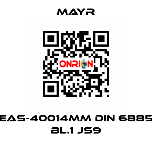 EAS-40014MM DIN 6885 BL.1 JS9 Mayr