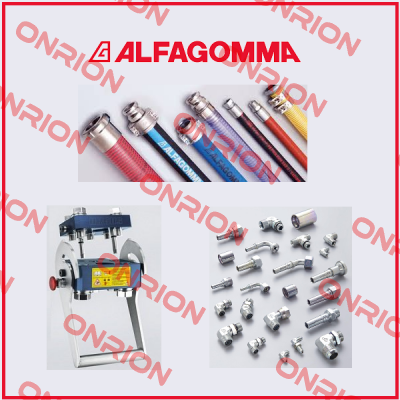 DN10-1/2" BSP K:02056 Alfagomma