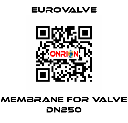 membrane for valve DN250 Eurovalve